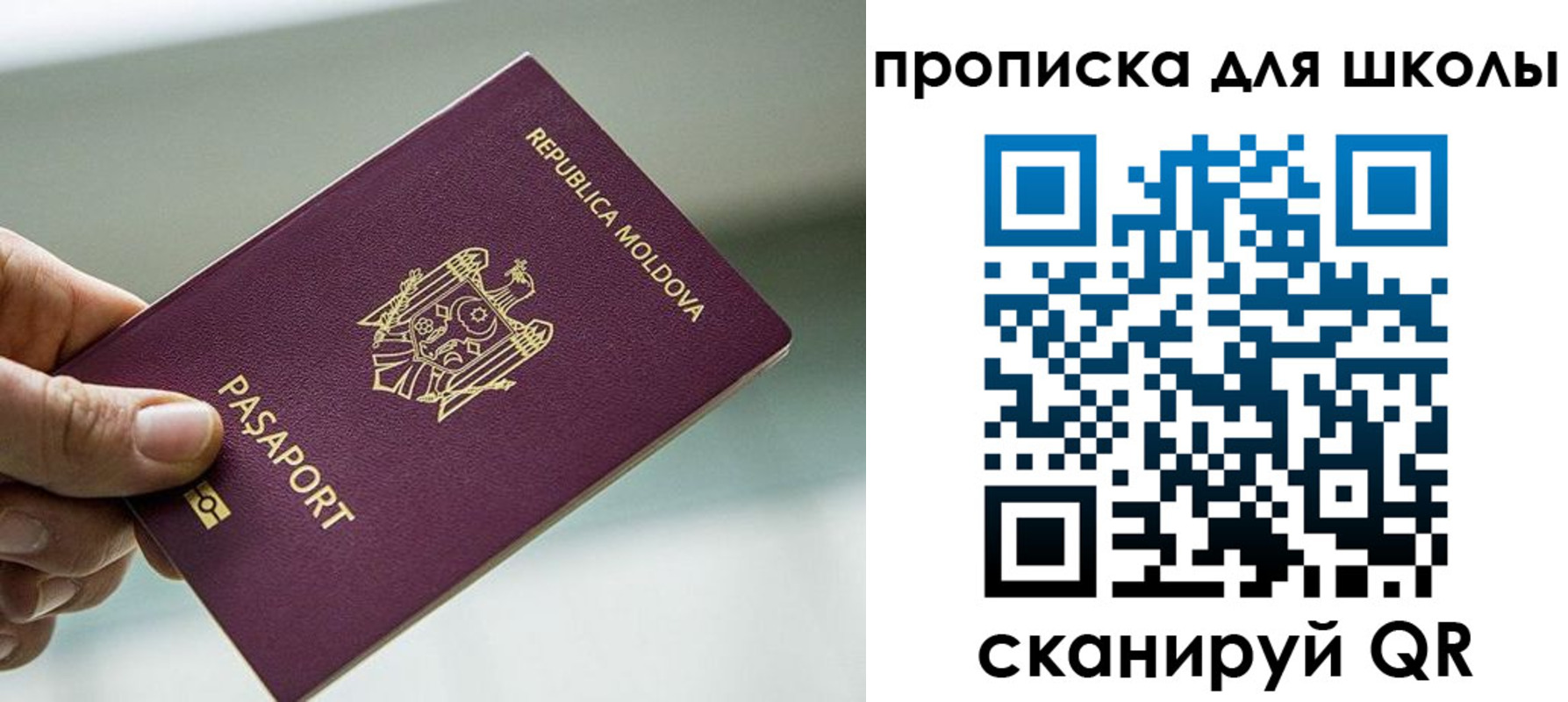 прописка в квартире в Тосно