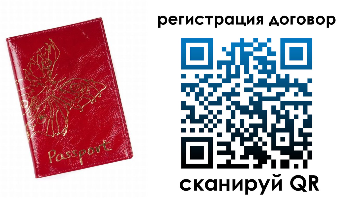 прописка для школы в Тосно
